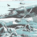 Cover of Beneath the law